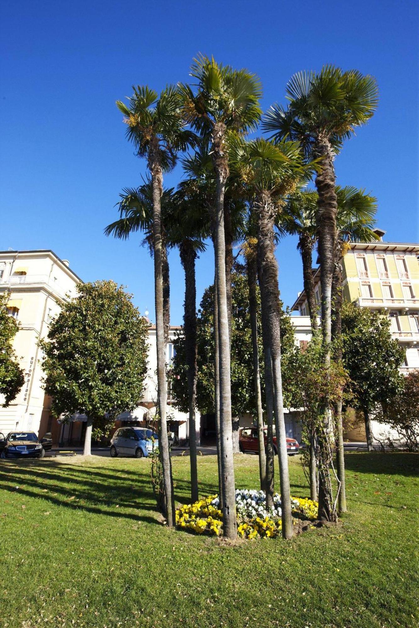 Appartamenti Lungolago Verbania Exterior foto